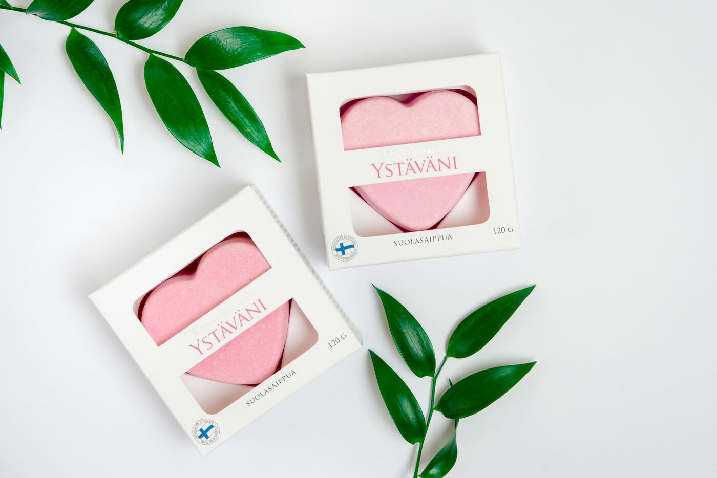 suolasaippua ystäväni